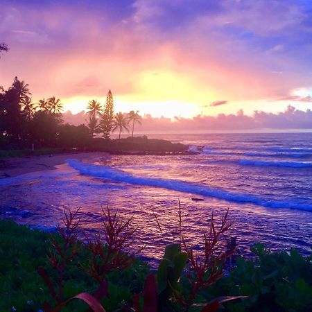Lanikai Condos Kapa'a Esterno foto