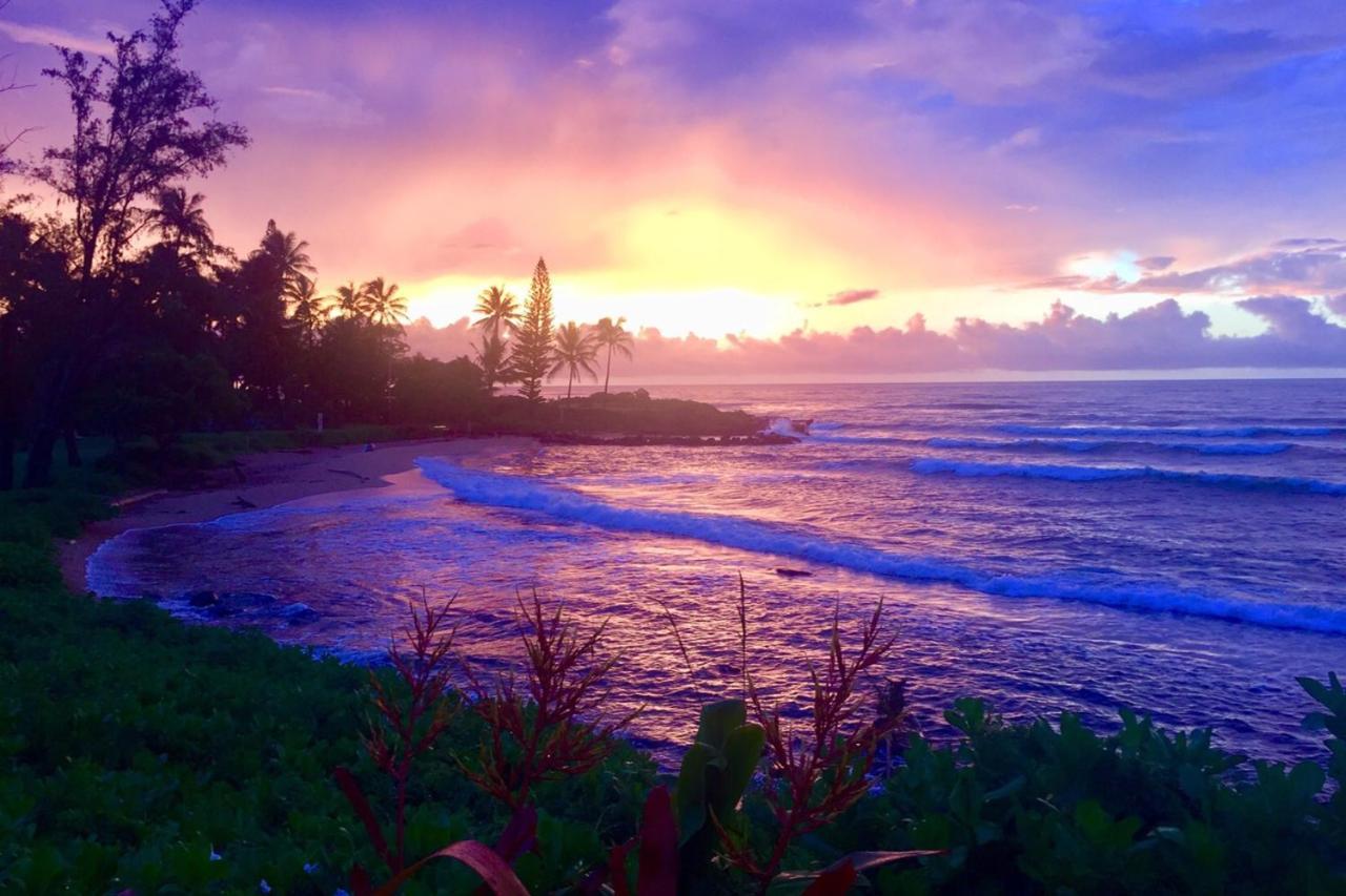 Lanikai Condos Kapa'a Esterno foto